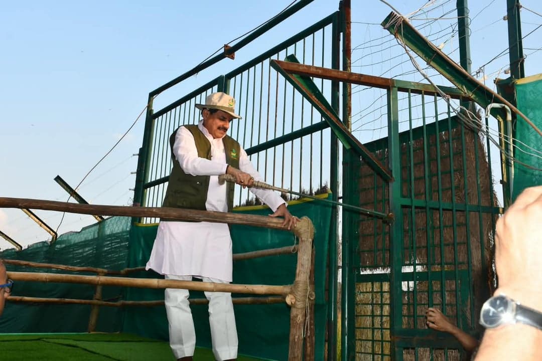 कान्हा टाइगर रिजर्व में 100 वर्षों बाद जंगली भैंसों की पुनर्स्थापना का दूसरा चरण शुरू