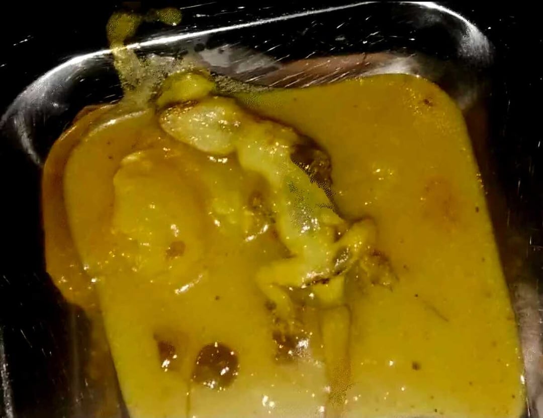 रसोई में मिलीं खाद्य सुरक्षा की खामियां